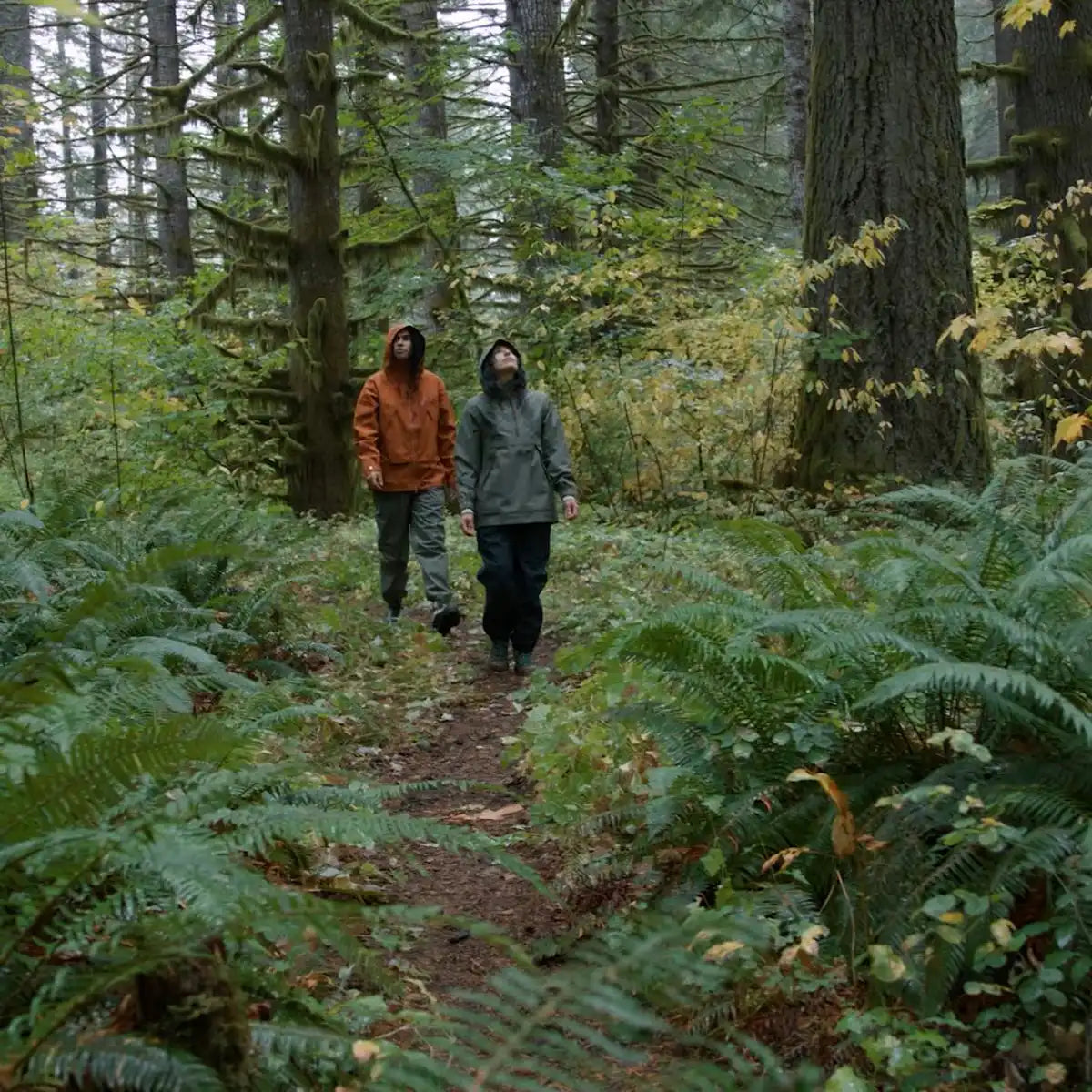 Cascade Crest Packable 3L GTX Rain Pants Black - Image 12