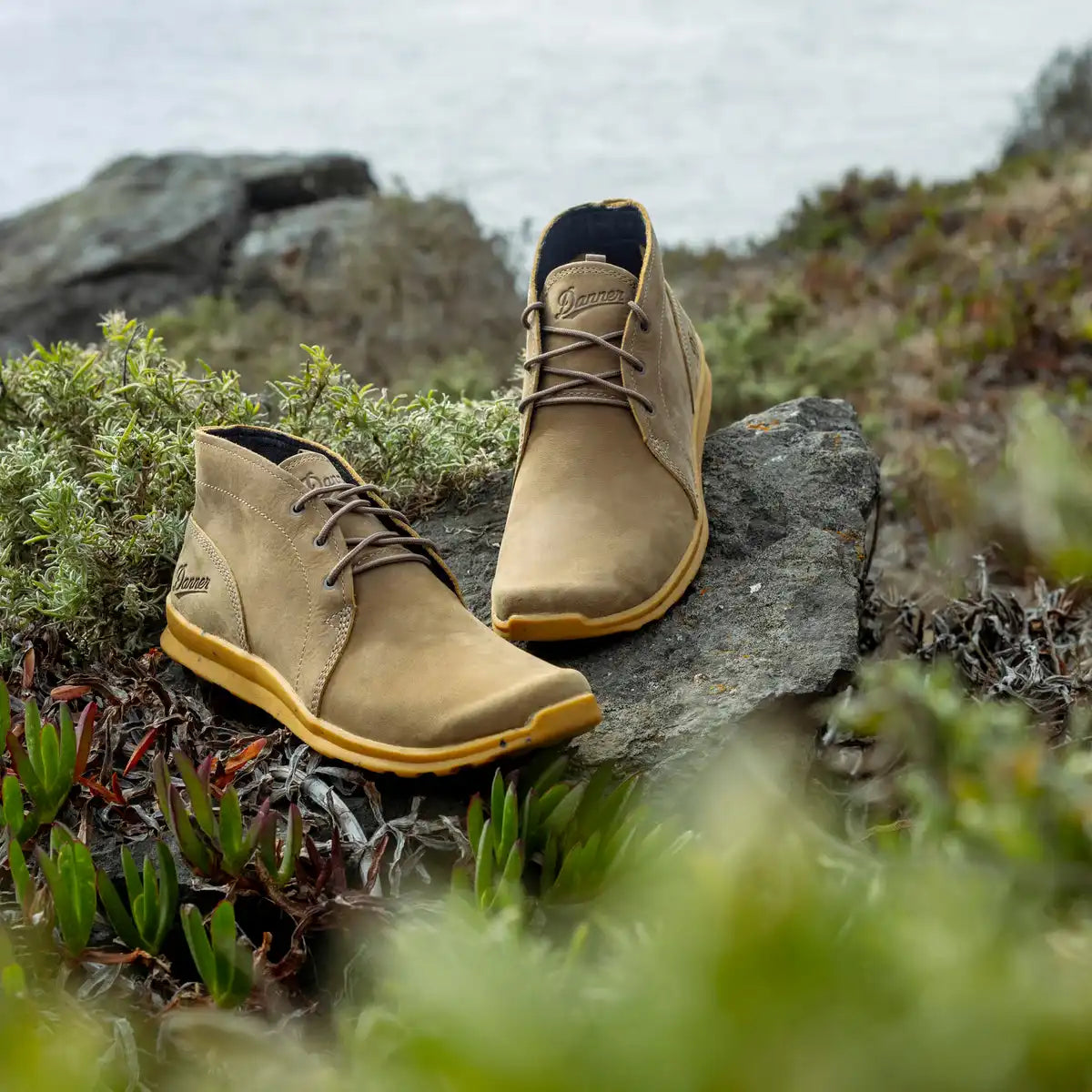 Forest Chukka Timberwolf - Image 6